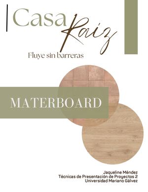 TPP2s5MaterBoard