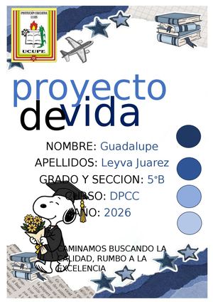Proyecto De Vida
