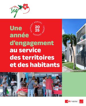Rapport d'activité SIG 2025