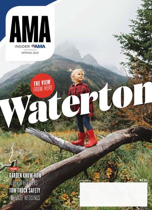 AMA Insider - Spring 2021