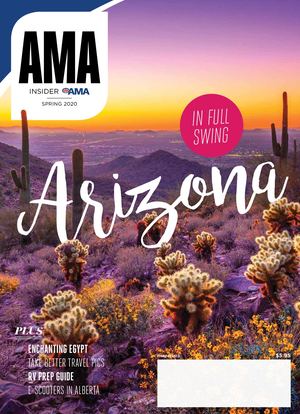 AMA Insider - Spring 2020