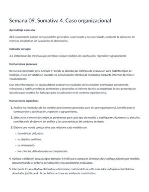 Semana 09 Sumativa 4 Caso Organizacional