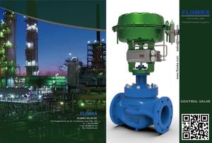 Flowks Control Valve 6 37
