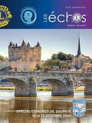 Les Echos Septembre 2025 Version Numerique