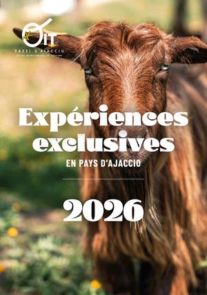 Expériences Exclusives en Pays d'Ajaccio