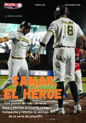 Pelota en Juego