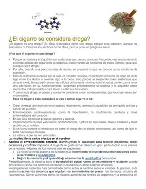 El Cigarro Se Considera Droga