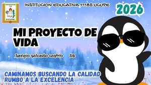 Proyecto De Vida Sergio Salcedo Castro