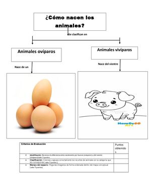 Animales Oviparos Y Viviparos