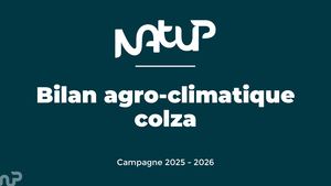 Bilan Agro Climatique Colza 2026