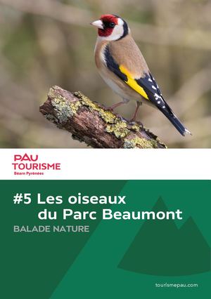 Les oiseaux du parc Beaumont