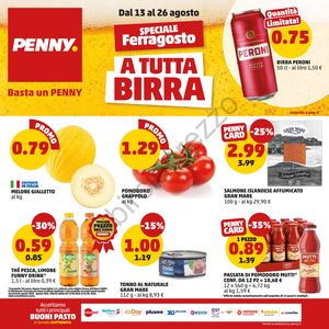 Volantino Penny Dal 13 Al 26 Agosto 2026