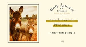Catalogue Bell Ânesse 2026