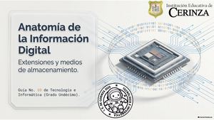 Digital Information Anatomy