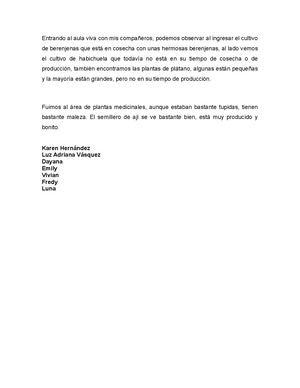 Relatos Desde Aula Viva Grado 11