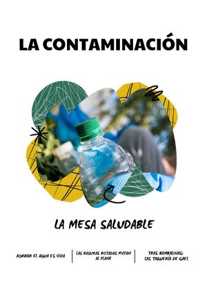 Franchesc-La Contaminacion Del Mundo