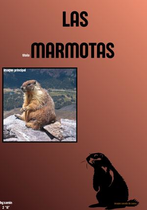 Marmotas Si Marmotas