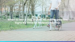 When to Hire a Dog Walker: NC Pro Reveals The Signs It's Time for Professional Help