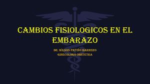 Cambios Fisiologicos En El Embarazo