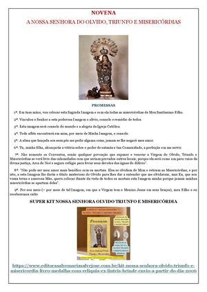 Novena A Nossa Senhora Do Olvido Triunfo E Misericordias