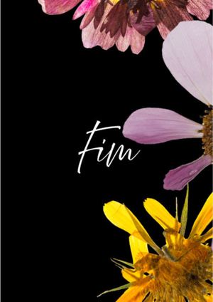 Fim E Começo