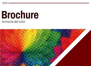 Bruchure Armonia De Colores