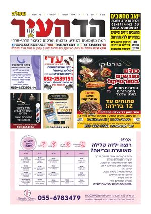 שפלה 16-8