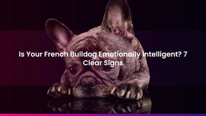 Is Your French Bulldog Emotionally Intelligent? 7 Clear Signs