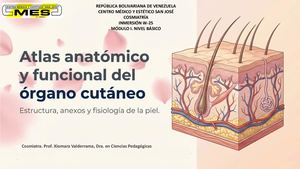 Clase 7 óRgano Cutáneo Definitivo