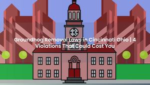 Groundhog Removal Laws in Cincinnati Ohio | 4 Violations That Could Cost You