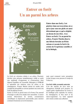 Entrer En Forêt Un An Parmi Les Arbres Cortex Sciences Chronique 2026
