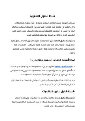شنط شانيل الصغيره (1)
