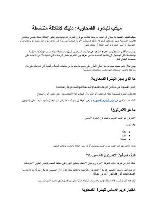 ميكب للبشره القمحاويه دليلك لاختيار المكياج المناسب لإطلالة متناسقة