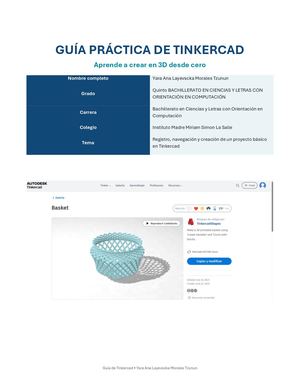 Examen Yara