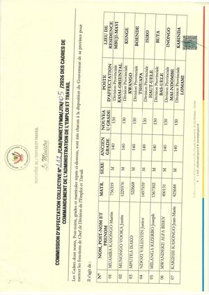 Commission d'affectation de chefs de divisions provinciales de l'emploi et travail RDC