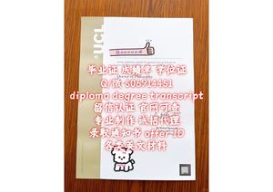【学校原版一致 防伪工艺齐全】【Q微506914451】美国纽约大学NYU毕业证成绩单offer录取通知书New York University