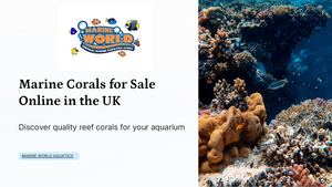 Marine Corals For Sale Online In The Uk
