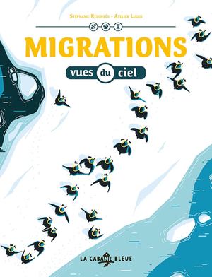 Migrations Vues Du Ciel