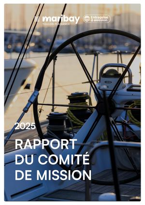 Rapport Comite De Mission 2025