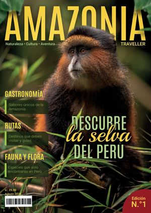 Revista Final Diaz Castañeda