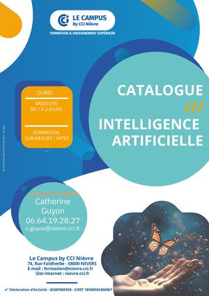 Catalogue IA