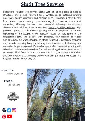 Sindt Tree Service