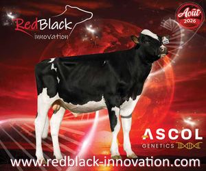 Catalogue Aout 2026 REDBLACK