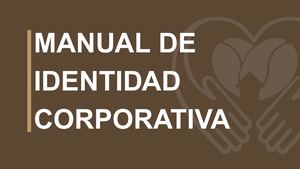 Manual De Identidad