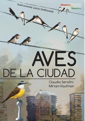 Aves De La Ciudad (1)