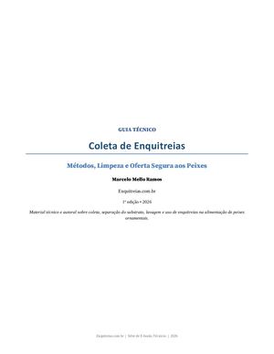 Coleta De Enquitreias Metodos Limpeza Oferta Segura Aos Peixes
