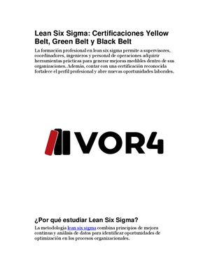 Lean Six Sigma Certificaciones Yellow Belt, Green Belt Y Black Belt