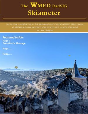 WMed RadSIG Newsletter Ideas