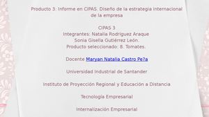 Producto 3 Informe En Cipas Diseño De La Estrategia Internacional De La Empresa