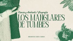 Santuario De Manglares De Tumbes Protección Y Biodiversidad